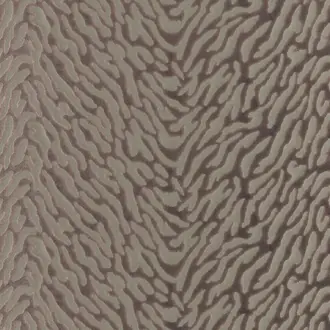 Avilla 08 Praline