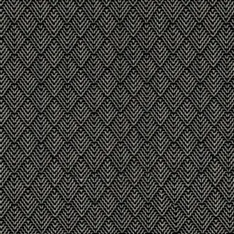 Zella 01 Carbon