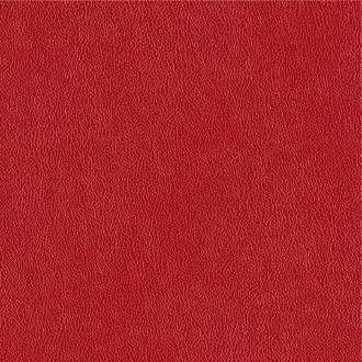 Manero 06 Ruby Slippers