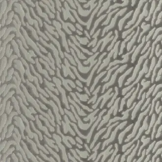 Avilla 12 Feather