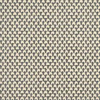 Kaia 13541-62