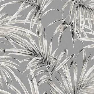 Palm LOT102