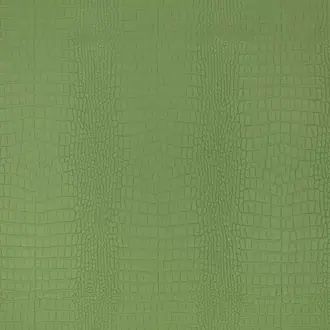 Croc Asparagus