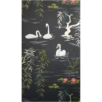Swan Lake NCW4020-04