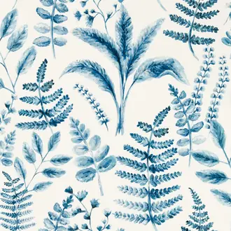 Bracken W0156/01