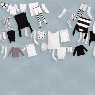 Laundry Day R14442