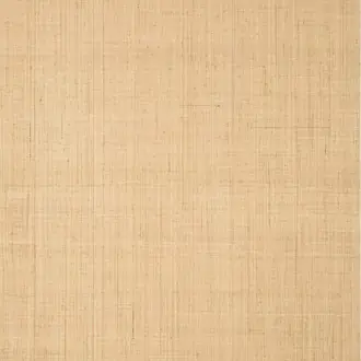 Bethany Raffia T19600