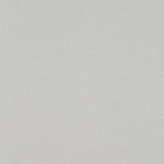 Forza White