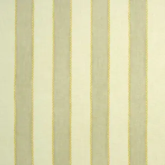 Lola Stripe LF2544C-003