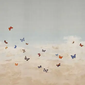 Butterfly Sky 9666