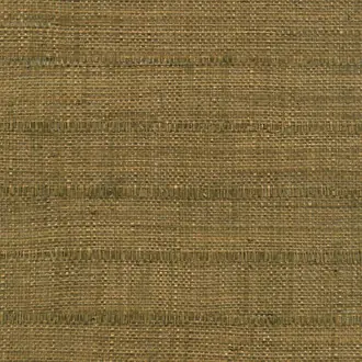 Robinson RM 901 91