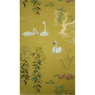 Swan Lake NCW4020-05