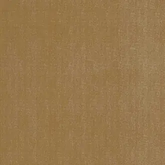 Divine MAP74