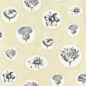 Herbariae PCL7028-05