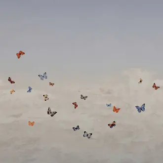 Butterfly Sky 9667