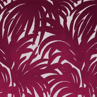 Guyane Fuschia 4209 01 22