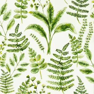 Bracken W0156/02