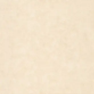Beton Uni 101491460