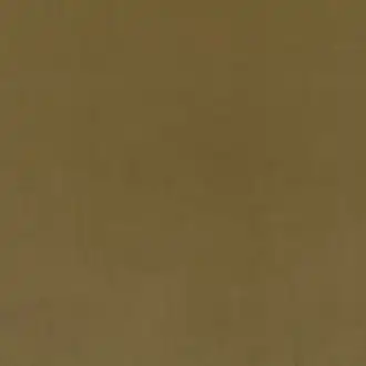 Smooth Olive