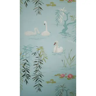 Swan Lake NCW4020-06