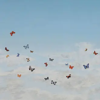 Butterfly Sky 9668