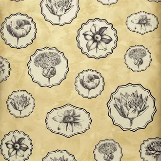 Herbariae PCL7028-06