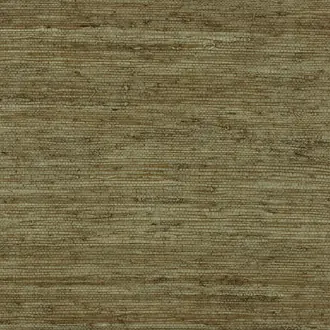 Extra Fine Arrowroot Olive 1741
