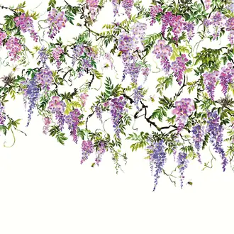 Trailing Wisteria ICN50110M