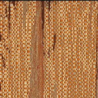 Elvis Zucca