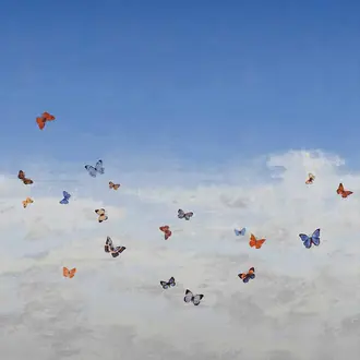 Butterfly Sky 9669
