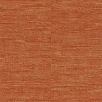 Zanzibar 289953