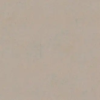 Saga Lux 10975882
