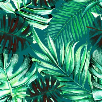 Rainforest WP20108
