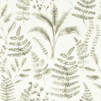 Bracken W0156/03