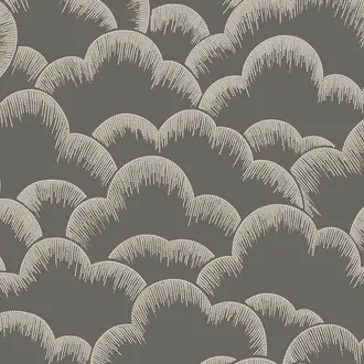 Cumulus 17262