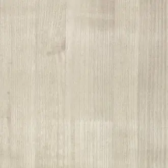 Paulownia ZW148-01