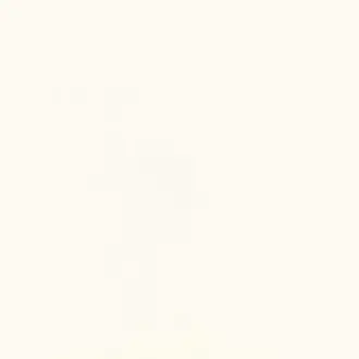 Havana Chalk