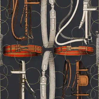Equestrian Equipment WP20632