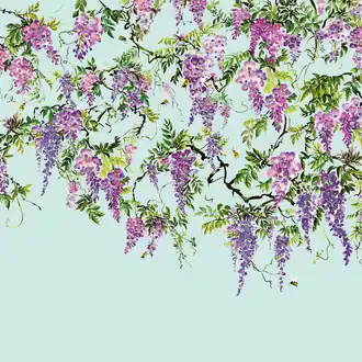 Trailing Wisteria ICN50111M