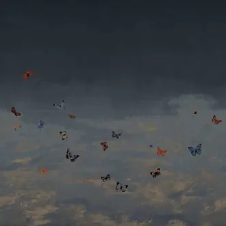 Butterfly Sky 9670