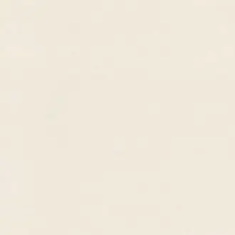 Zanzibar 289960