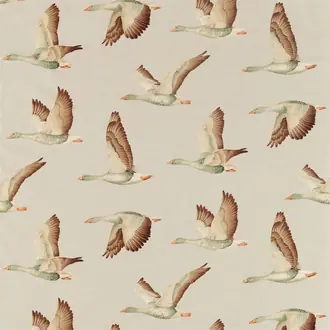 Elysian Geese 226518