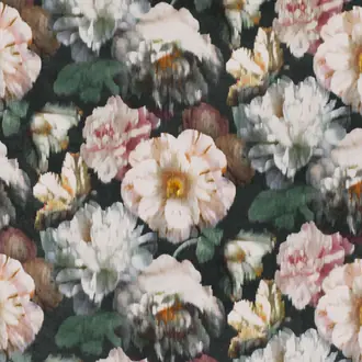 Herbaria Malva 9040-01