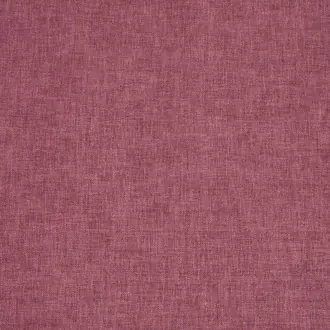 Ilaria Raspberry