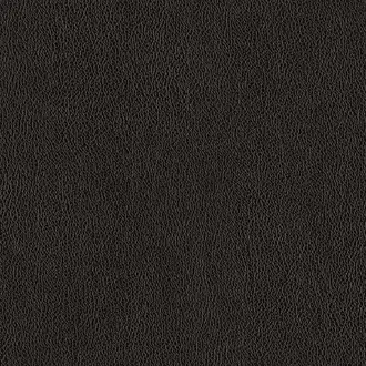 Manero 10 Cast Iron