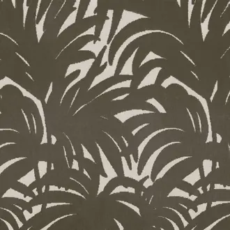 Guyane Taupe 4209 05 77