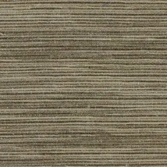 Variation 10247-96