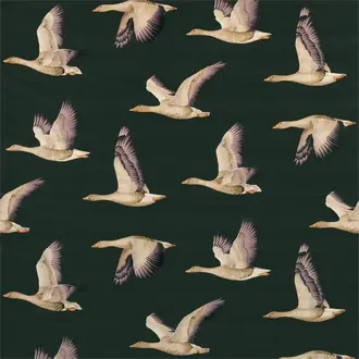 Elysian Geese 226519