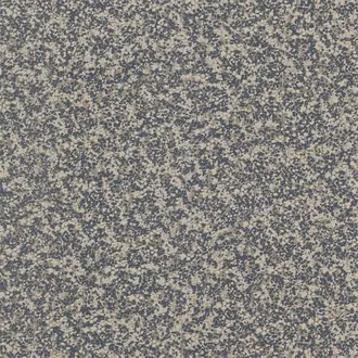 Coral EREE110762
