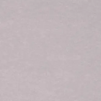Vinyl Savile Suiting Wool White 2130